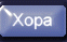 Хора